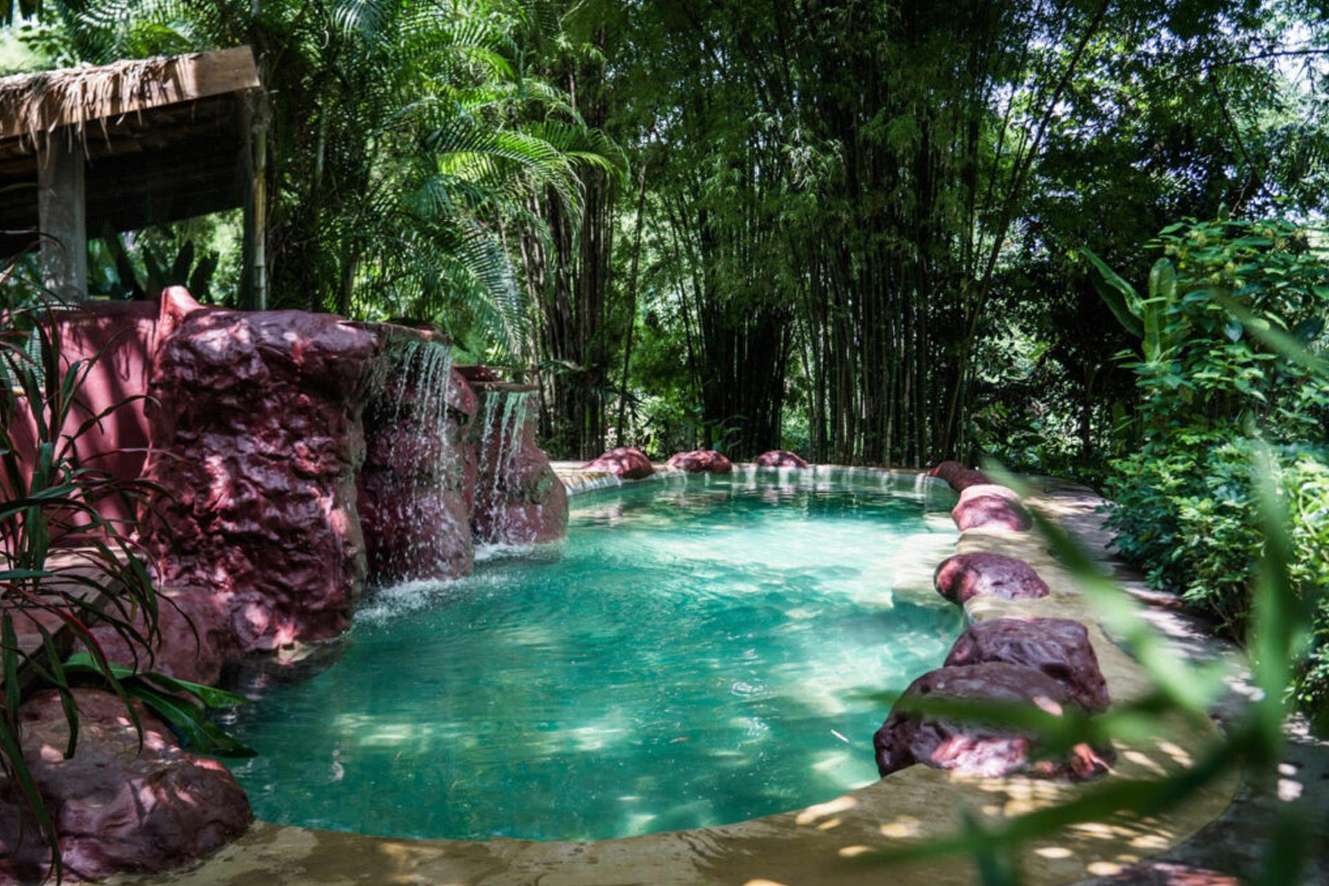 A swimming pool surrounded by lush greenery.