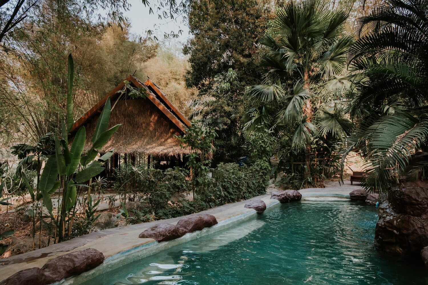 A serene pool nestled amidst the lush greenery of Luang Prabang.