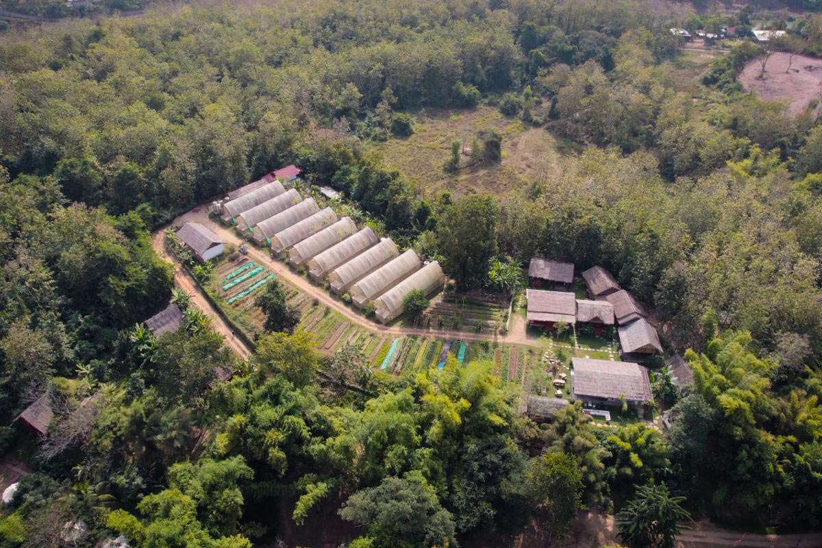An organic farm nestled among lush trees, captured from an aerial perspective.
