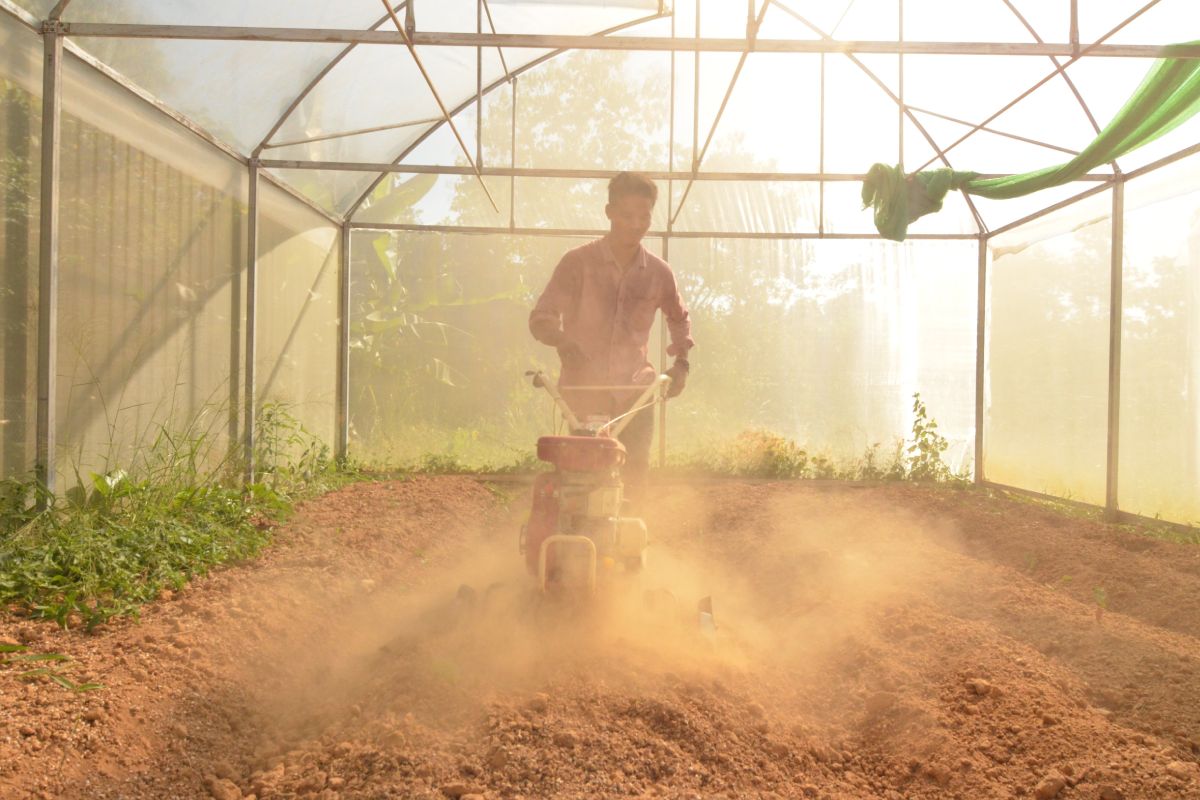 A man is riding a dirt bike in an organic farm greenhouse.