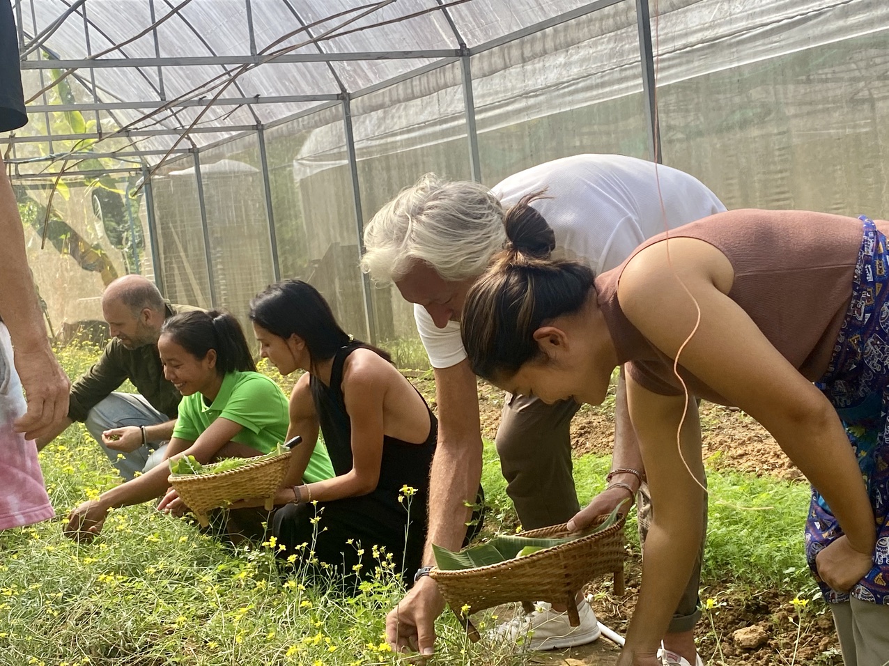 A group of people working in a greenhouse in Luang Prabang.