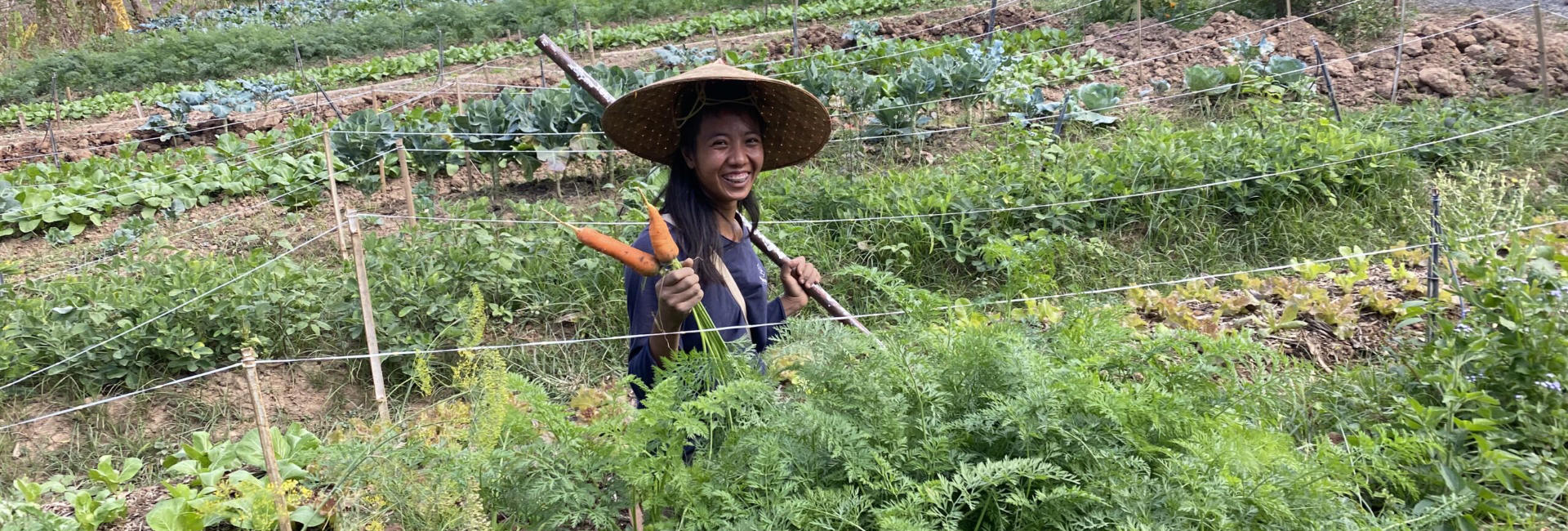 A woman in a straw hat is holding carrots in a garden in Luang Prabang.