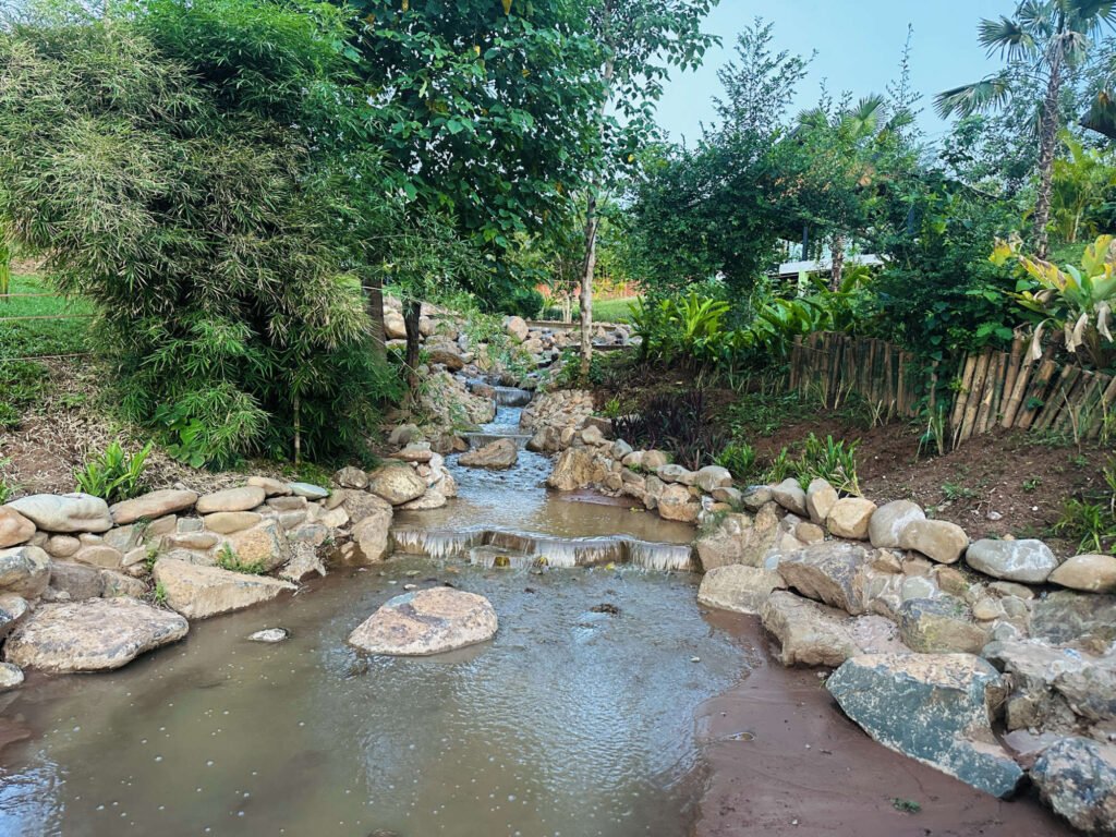 A small stream running through a forest in Luang Prabang.