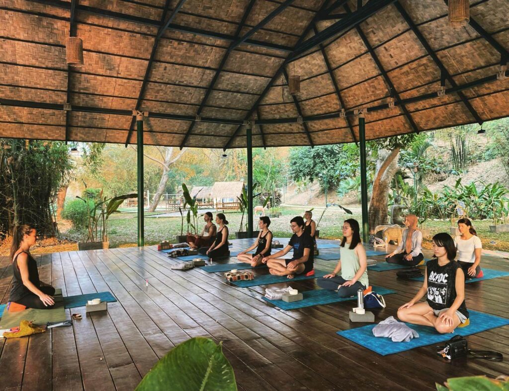 h yoga