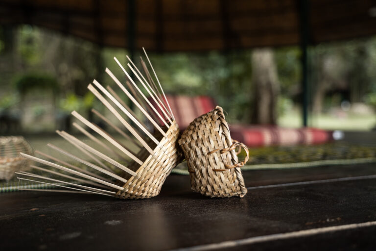 Bamboo Weaving Workshop