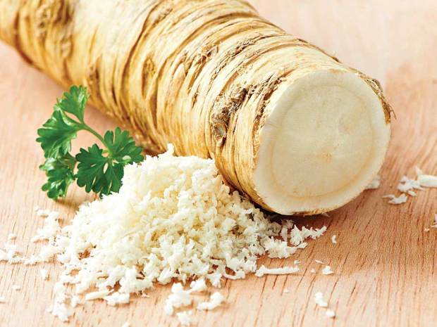 Horseradish1