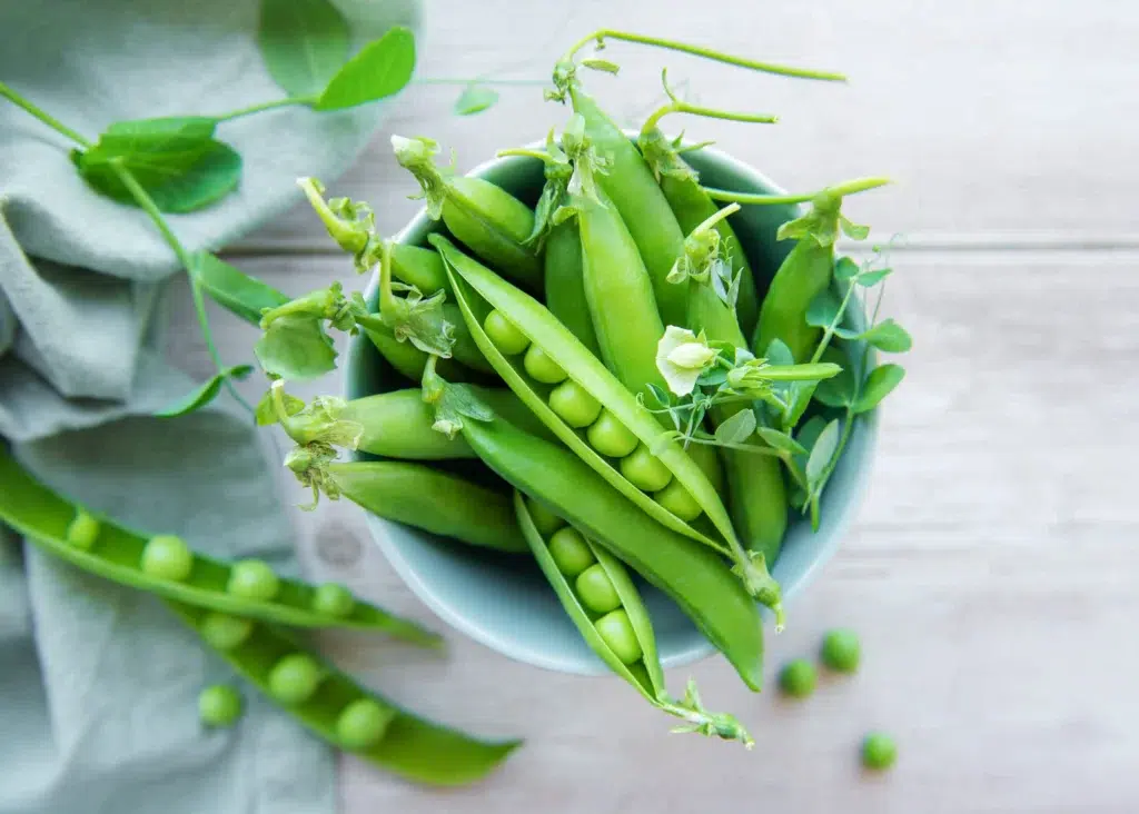 bowl with sweet pea pods 2023 11 27 05 32 41 utc scaled scaled