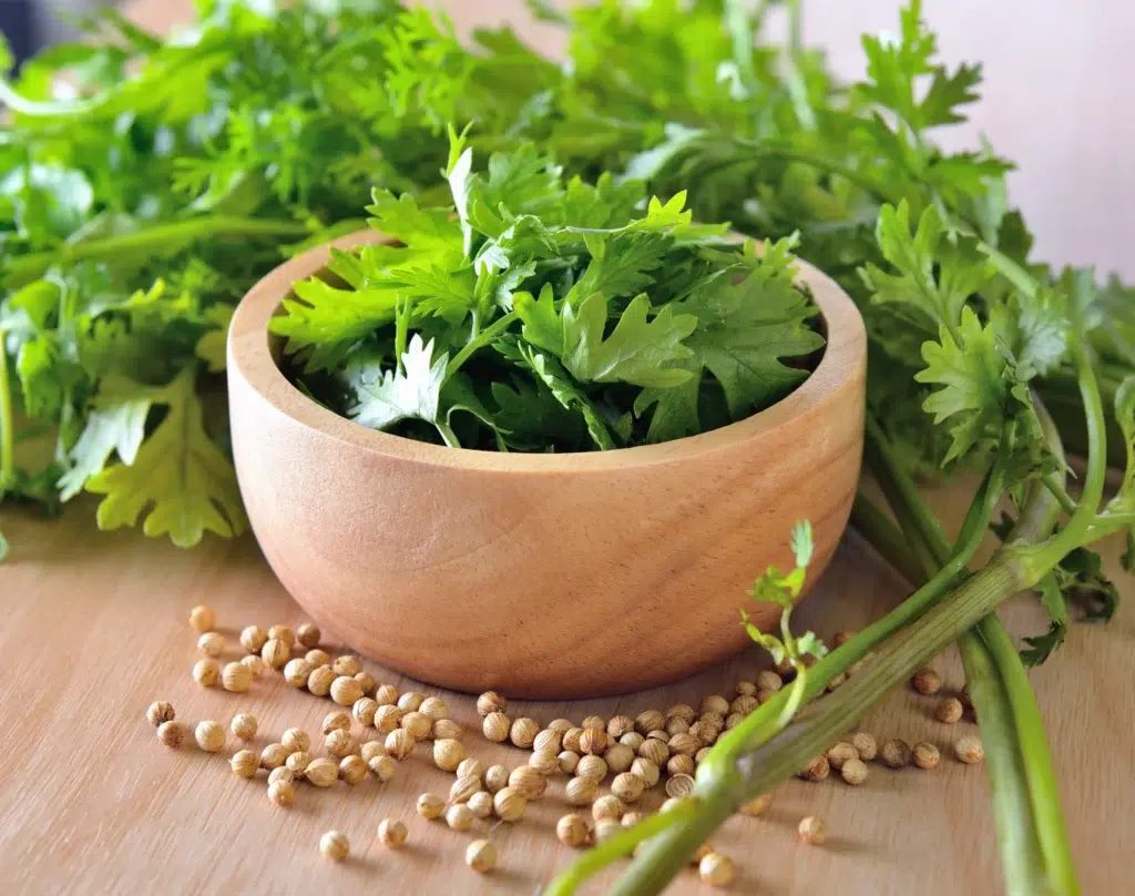 coriander and seeds 2023 11 27 05 30 19 utc scaled scaled