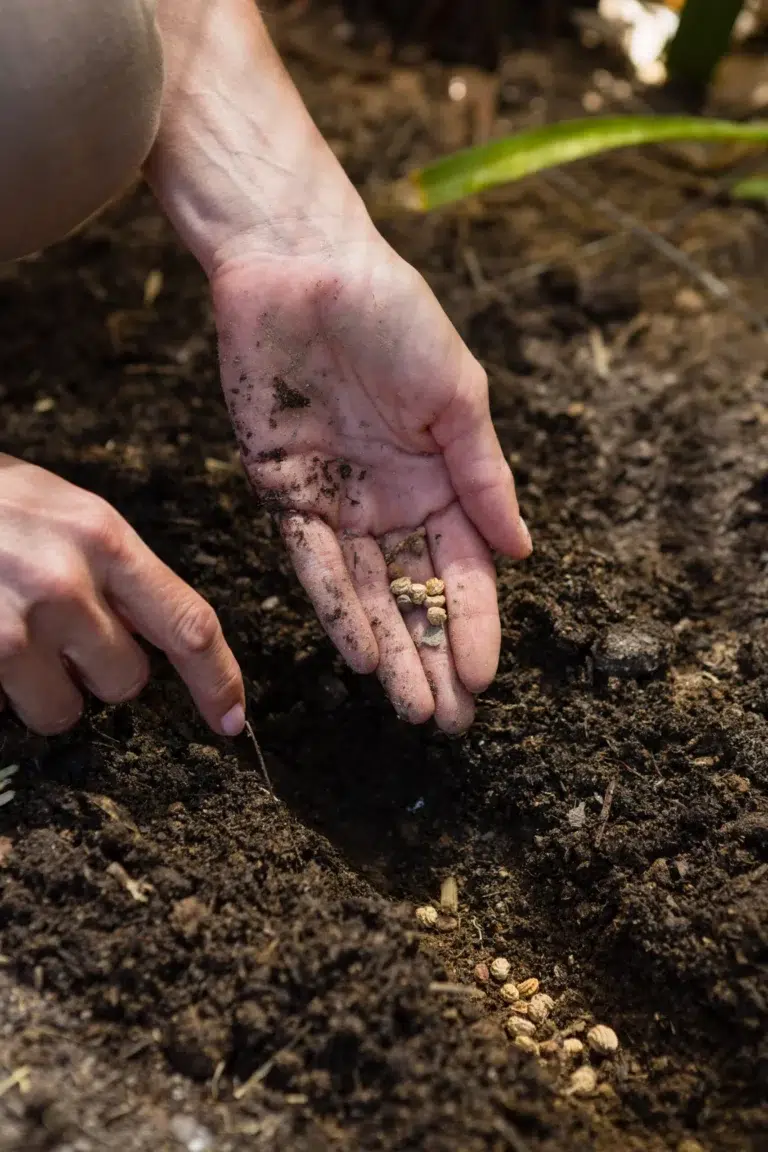 mid section of woman planting seeds in garden 2023 11 27 05 34 03 utc scaled scaled