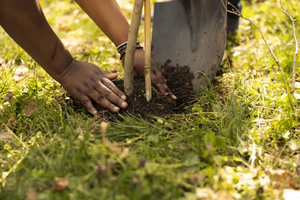 team of climate change activists planting small tr 2024 08 27 21 55 29 utc scaled scaled