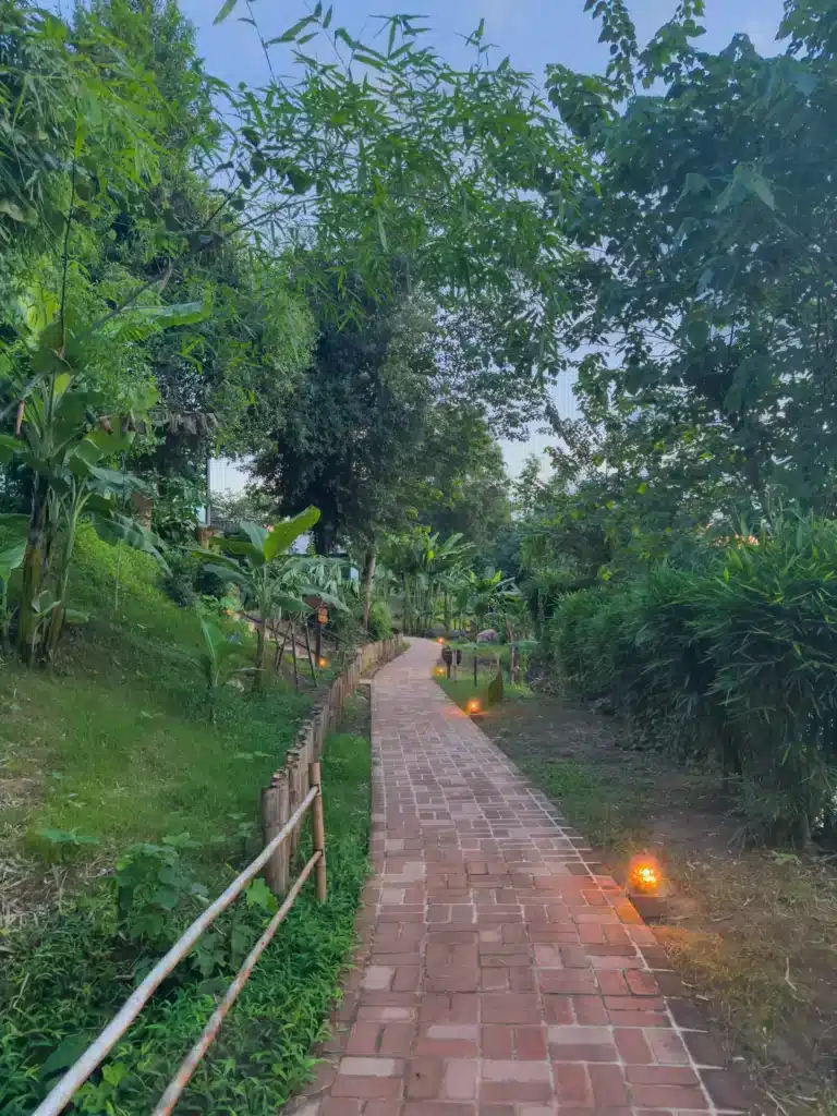 Webp.net resizeimage 6