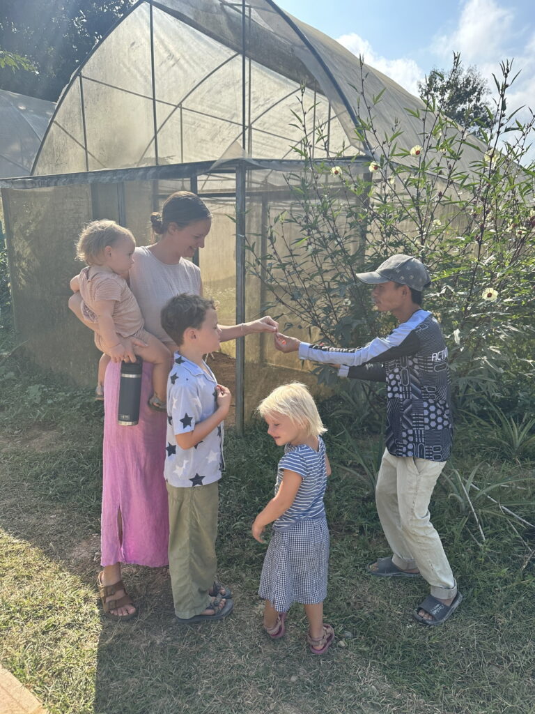 farm 3 e1737083482971