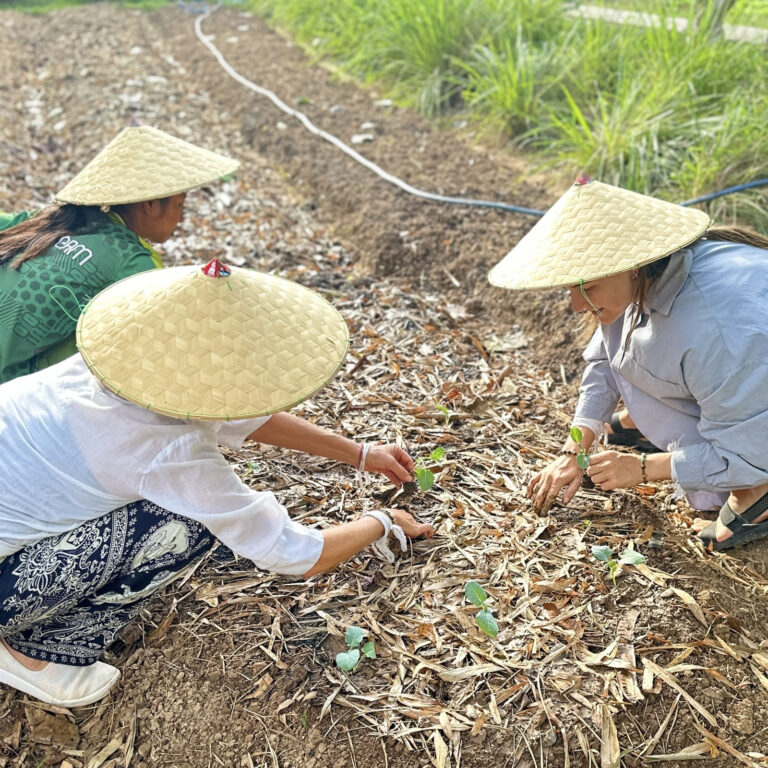 Organic Farm Tour