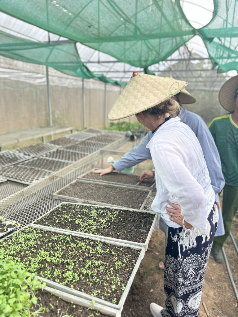 Organic Farm