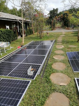 3e1ca55a b29d 4618 b231 592aeb2d83b8