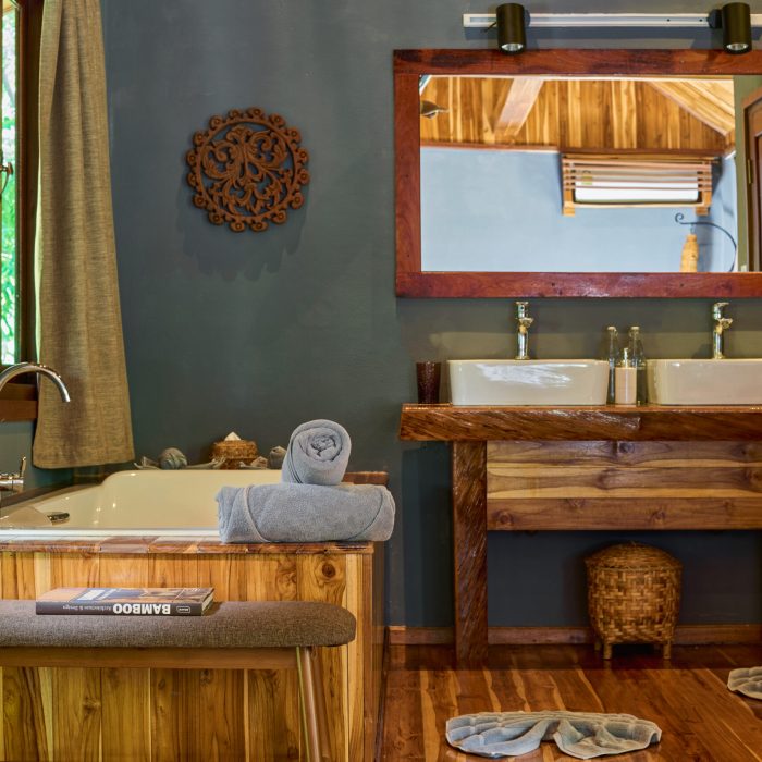 Art Suite Bathroom FR bdv scaled