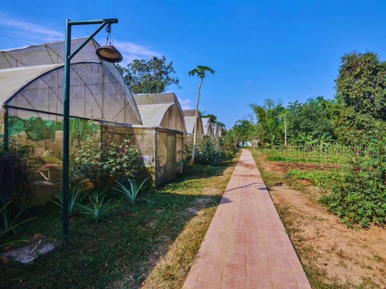 Eco Farm at The Namkhan