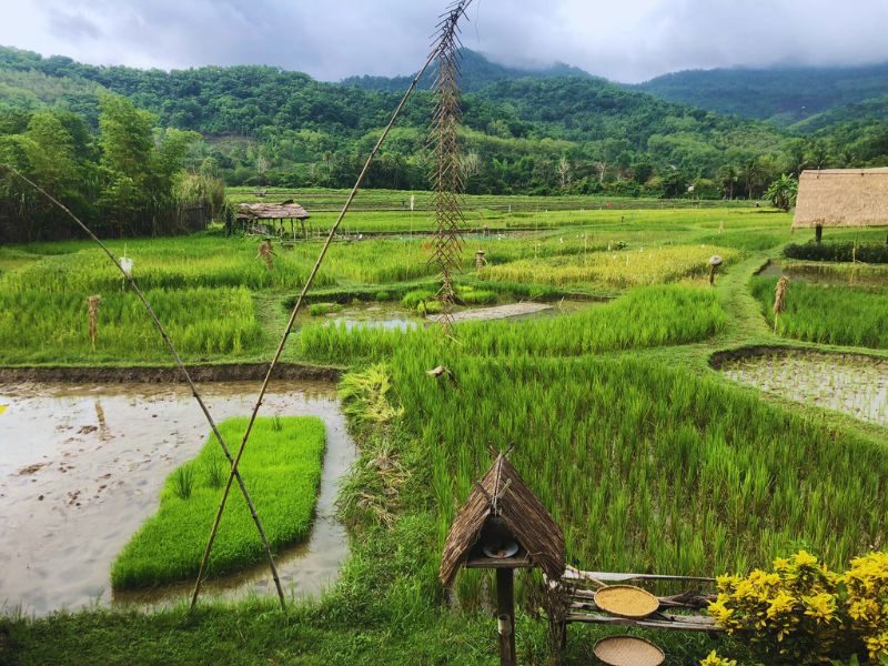 Rustic Farm Living Retreat at The Namkhan Hotel in Luang Prabang