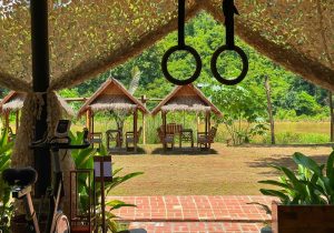 Webp.net resizeimage 26