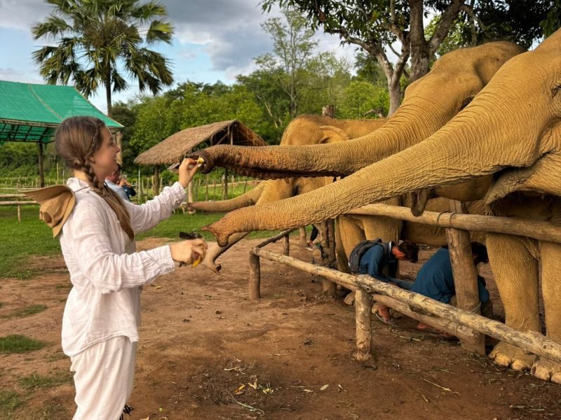 Woman in Mandalao Elephant The Namkhan Luang Prabang